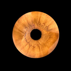 Séance Photo iris - votre oeil comme vous ne l'avez jamais vu !