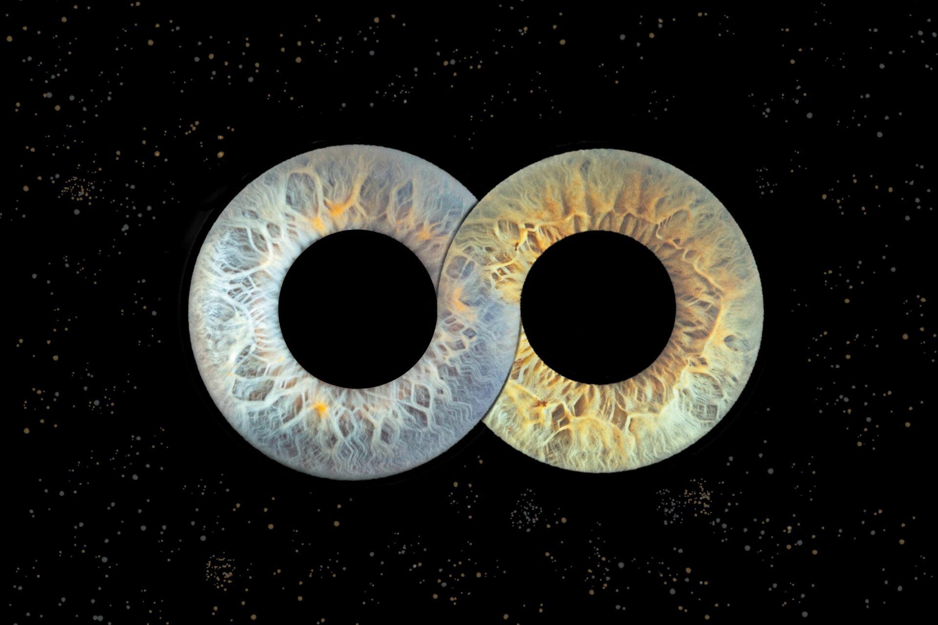 Shooting iris couple – photographie artistique des yeux en studio en Seine-et-Marne